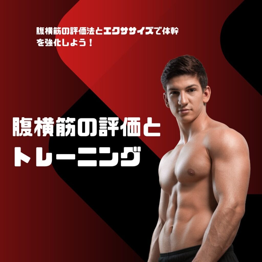 女性必見！効果的な腹横筋エクササイズと評価法【瀬戸市のひまわり接骨院 整体院】