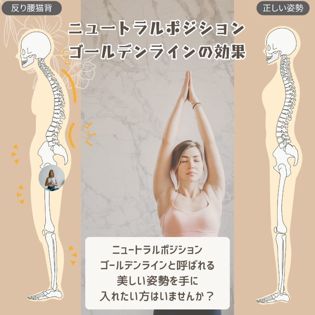 ひまわり接骨院 整体院 瀬戸店でニュートラルポジションを学び理想の姿勢を手に入れませんか？