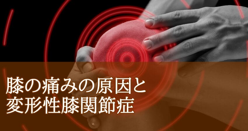 膝の痛みの原因