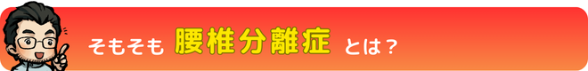 腰椎分離症について｜瀬戸市・長久手市ひまわり接骨院 整体院 瀬戸店