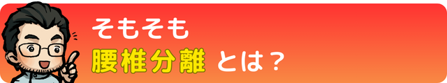 腰椎分離症について｜瀬戸市・長久手市ひまわり接骨院 整体院 瀬戸店