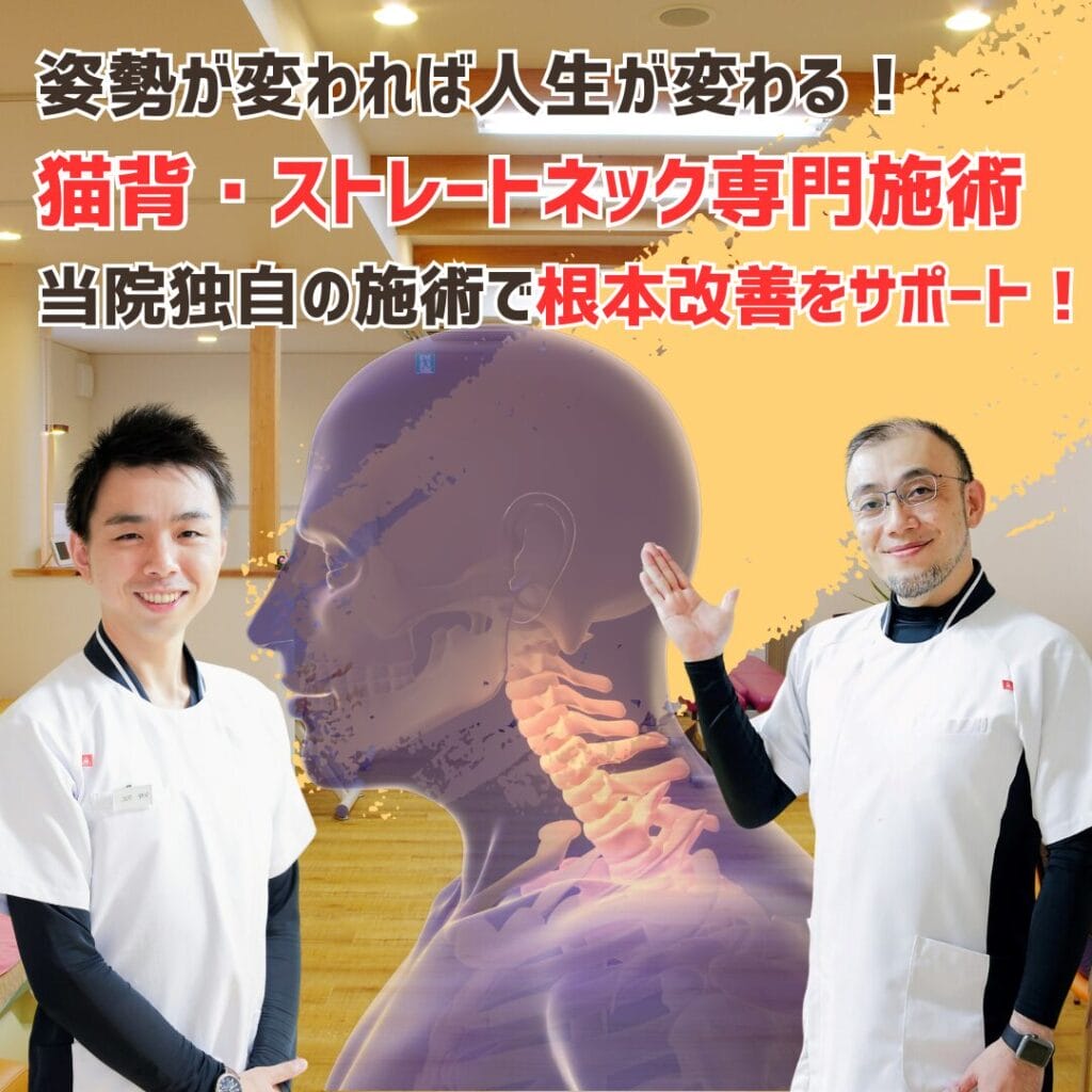 姿勢が変われば人生が変わる！猫背・ストレートネック施術は瀬戸市・長久手市のひまわり接骨院 整体院 瀬戸店にお任せ！